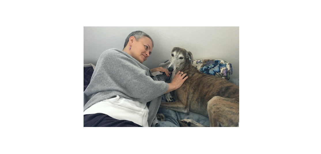 Galgo Ada