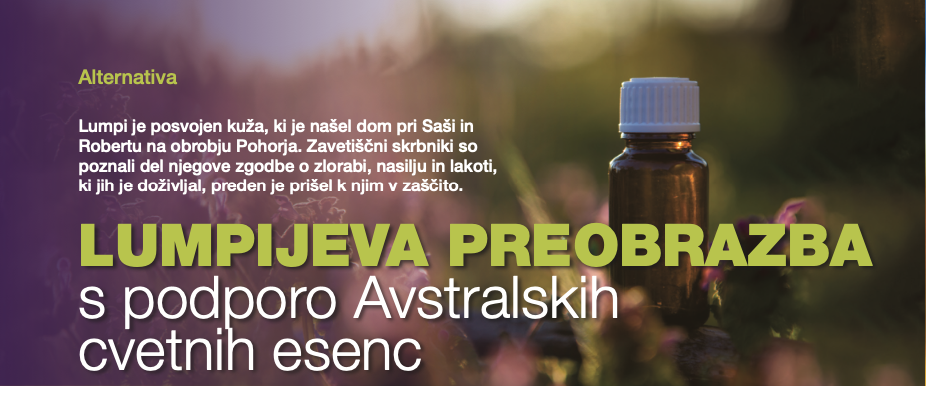 Lumpijeva zgodba v reviji Štiri tačke