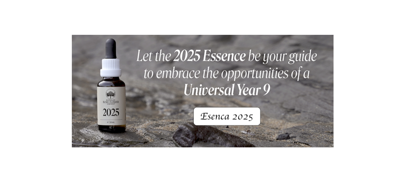 Podpora z esencami v letu 2025